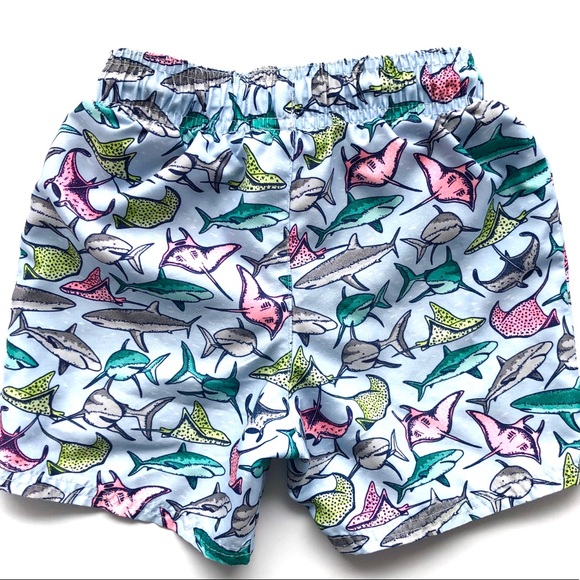 Cat & Jack | Stingrays & Sharks RashGuard & Trunks - Picture 8 of 8